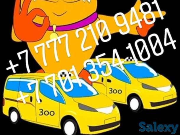 Зоотакси в Нур-Султане, фотография 1