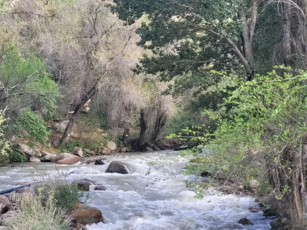 Продаем участок в Каскеленском ущелье, фотография 7