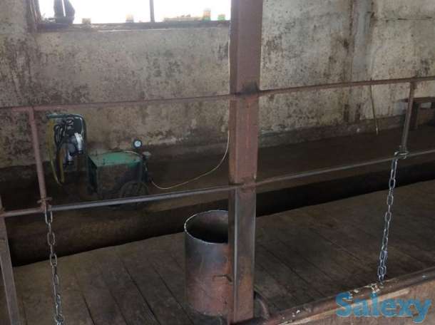 Продаётся животноводческая ферма, фотография 4