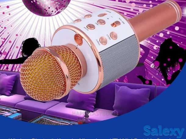 Караоке-микрофон WS-858 с бесплатной доставкой, фотография 3