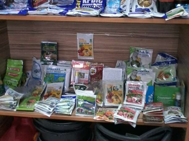 Семена цветов овощей зелени, фотография 12