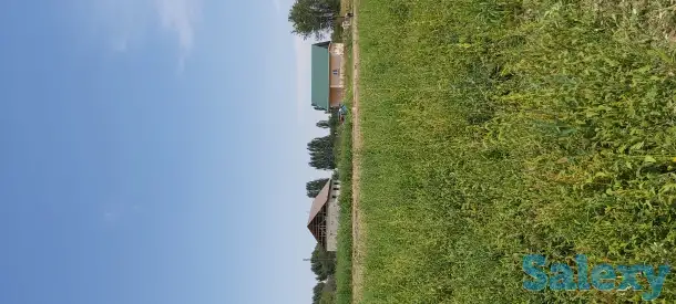 Участок 76 соток. Кызыл Кайрат, фотография 9