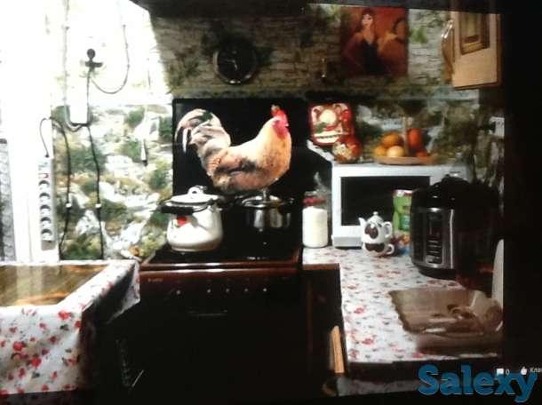 Добротный зимний дом в красивейшем месте, область,Хвойнинский район,ст.Кабожа, фотография 3