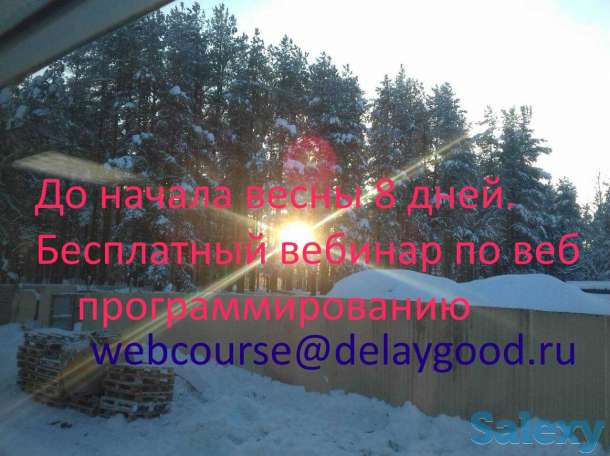 Бесплатный вебинар по веб программированию, фотография 1