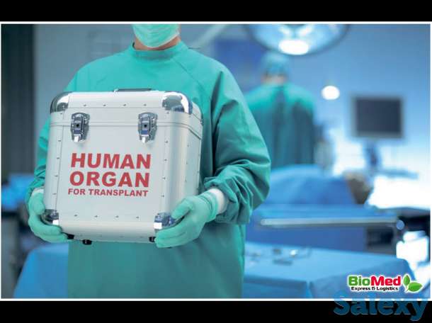 BioMed Express and Logistics, фотография 2