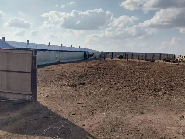 Продам готовое КХ, фотография 4