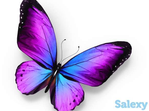 Натяжные потолки, фотография 2