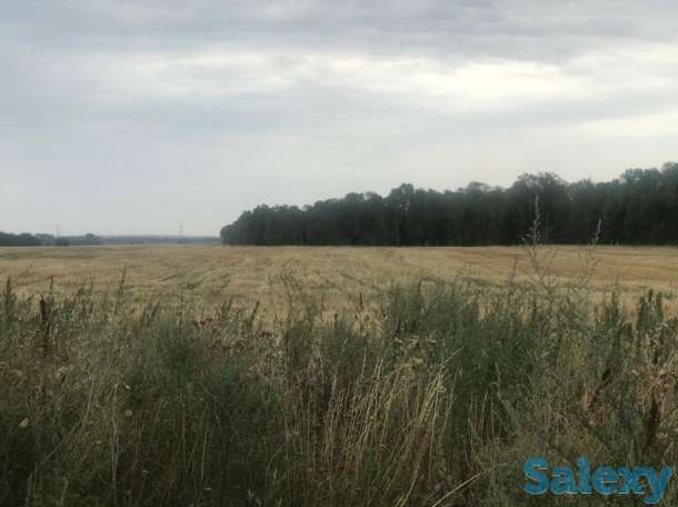 Продам землю 53 га!, район, Панфиловский сельский округ, фотография 1