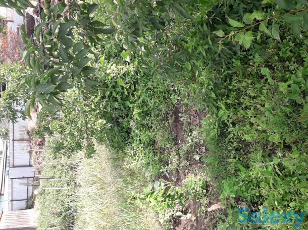 Продажа, обмен, фотография 1