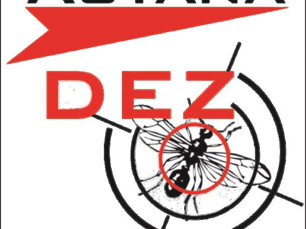  Дезинфекция в Астане, фотография 1