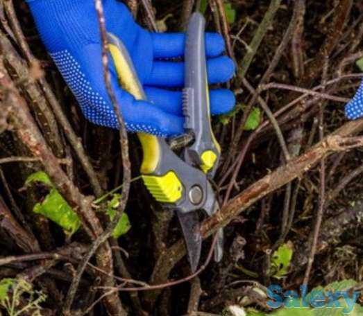 Обрезка плодово-ягодных растений, фотография 1