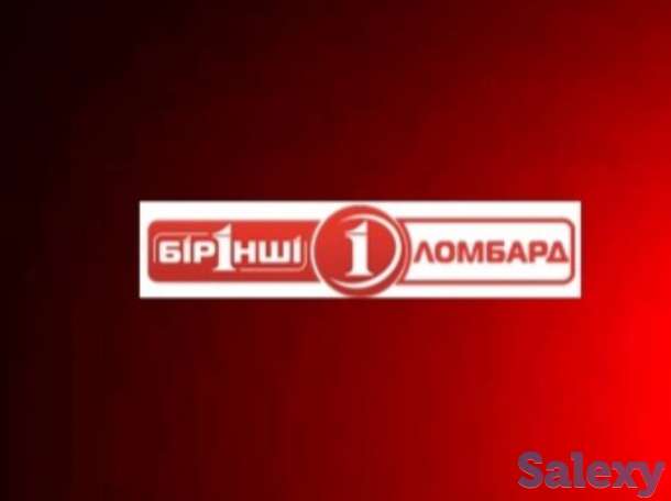 Выездной аудитор, фотография 1