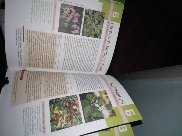 Продам, фотография 2