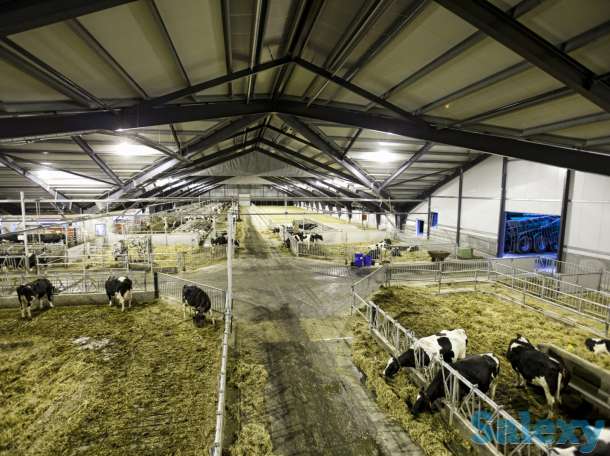 Теплицы на любой вкус, фотография 8