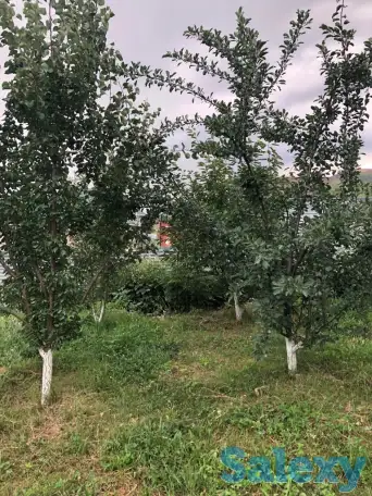 продам  дом, фотография 2