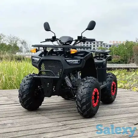 Квадроцикл 125-250 кубов, фотография 2