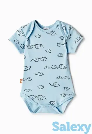 Боди котмаркот, фотография 1