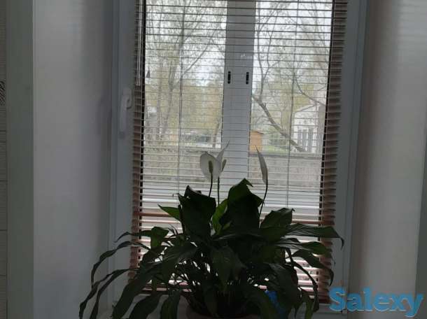 Продам квартиру, Кунаева 38, фотография 12