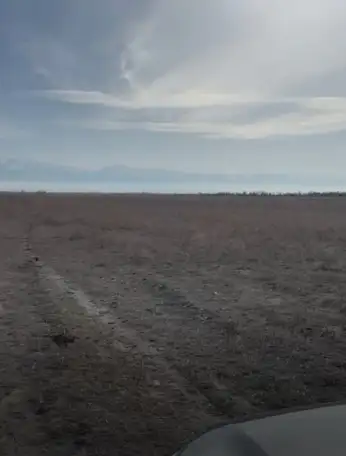 продажа земли КХ под фермерское хозяйство, Алматинская обл, пос Еламан, фотография 2