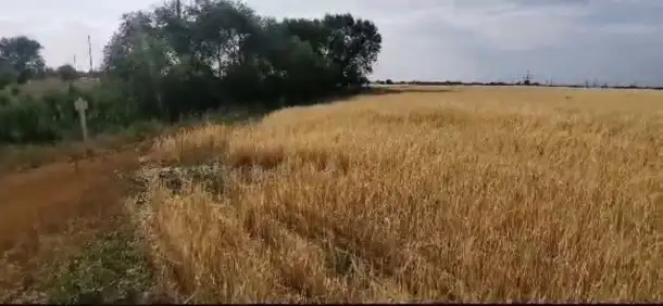 Продам участок Пром назначения, Карасайский р-он, фотография 3