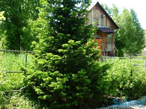 Продам дачу, общество Ермак,43 км,дом 43004, фотография 2