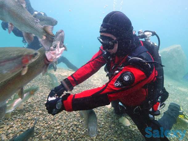 Гидрокостюм fusion bullet blue,, фотография 7