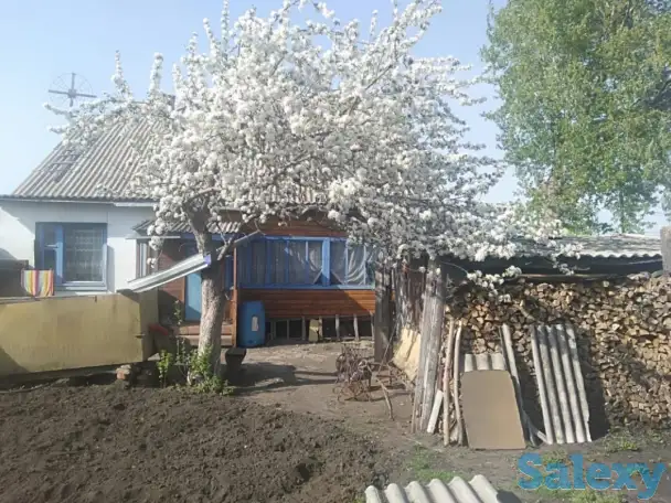 Продам дом, фотография 4