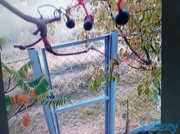 Продам Дачу, фотография 5