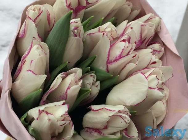 Голландские тюльпаны 10 лучших сортов,оптом и в розницу !, фотография 8