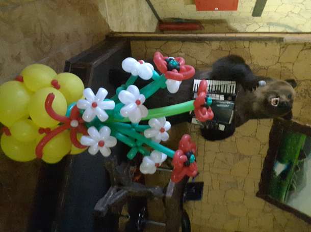 Фигуры из воздушных шариков, фотография 10