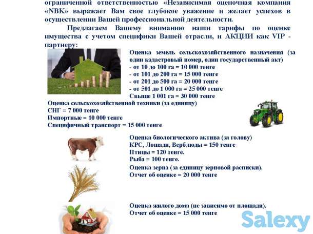 Оценка акций, бизнеса, нематериального актива, фотография 4