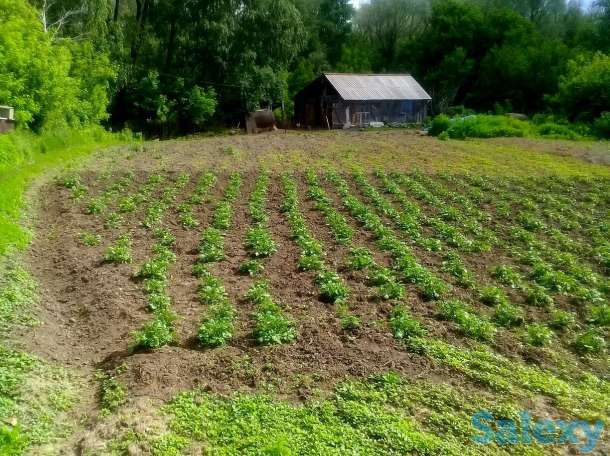 Продам дом в п. Глубокое, ул.Степная 120, фотография 3