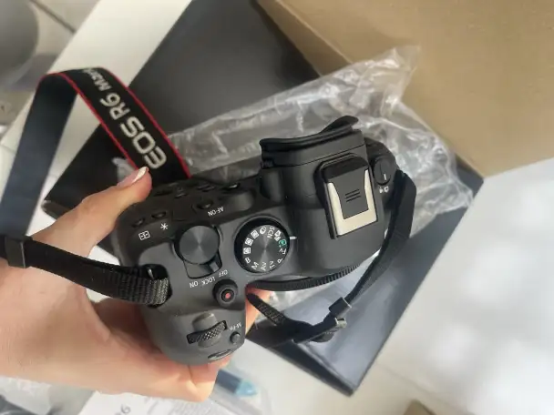 Беззеркальная камера Canon EOS R6 Mark II, фотография 10