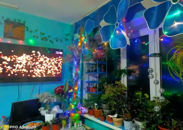 Продам лошадей и дом, ж/д станция Сокыр, фотография 6