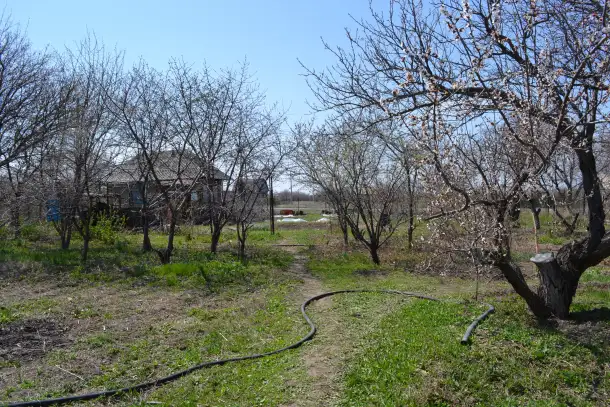 Продается дача 23 сотки, в поселке Акши, Енбекшиказахский район 66 км, фотография 8