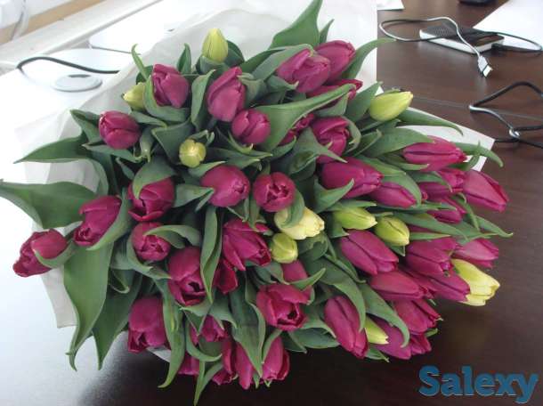 Тюльпаны оптом к 8 марта из РБ от производителя, фотография 3