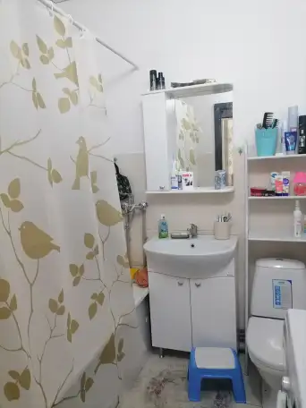 Уютная однушка, Зердели1/32, фотография 3