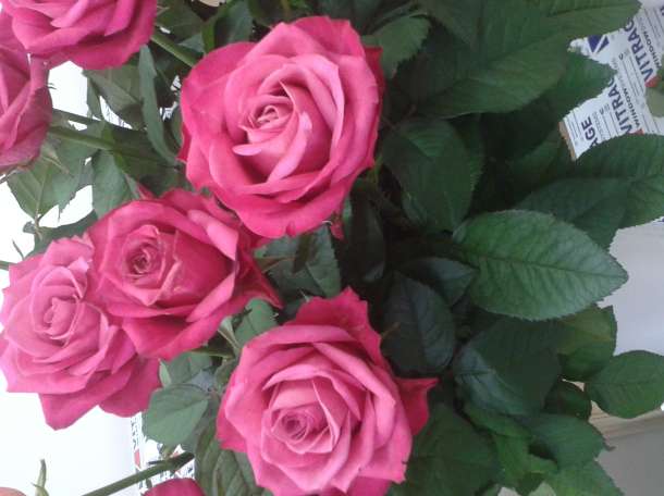 Цветочный мир 