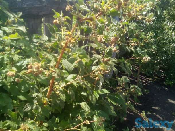 2х этажный дом в живописном месте России, фотография 11