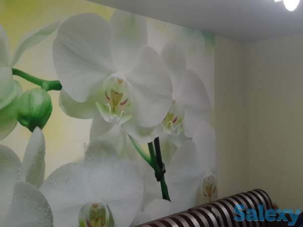   Наклейка фотообоев, обоев, фотография 2