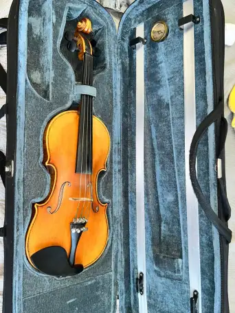 Скрипка мастерова 44, фотография 4