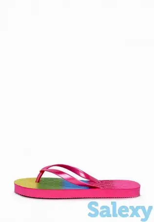 Сланцы t.taccardi, фотография 2