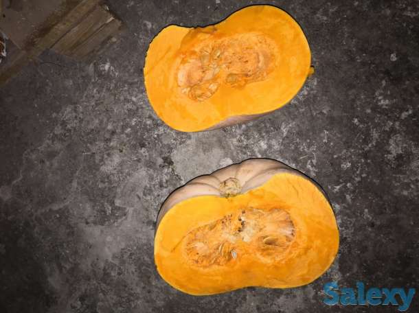 тыква оптом, фотография 1