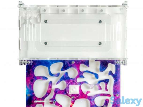 Муравьиная ферма, фотография 3