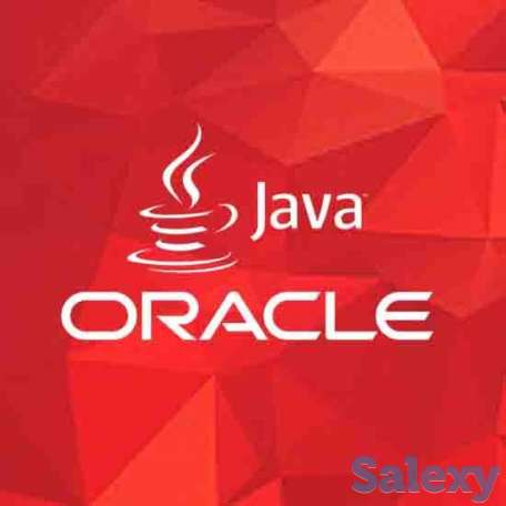 Репетитор по программированию, фотография 1