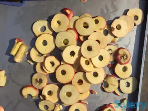 Машина для удаления сердцевины яблок, нарезка дольками и слайсами Vega Apl cor 400800 A, фотография 2