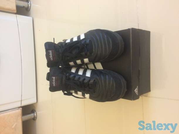 Сороконожки, фотография 2