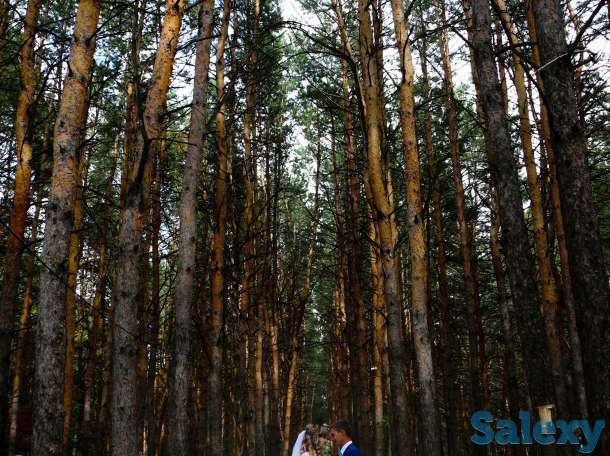 Профессиональная  Фото и Видеосъемка, фотография 6