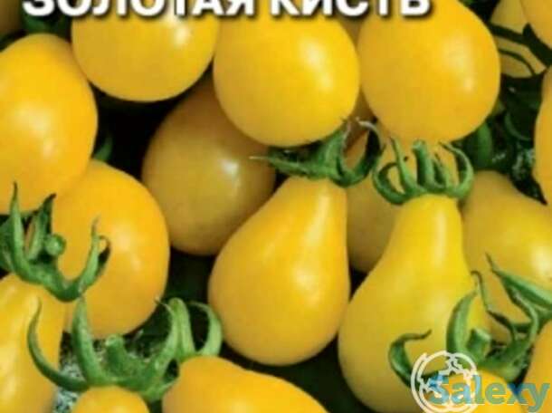 Семена Томат Золотая кисть, фотография 1