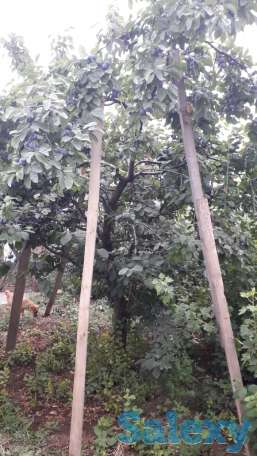 продам или обменяю частный дом, фотография 3